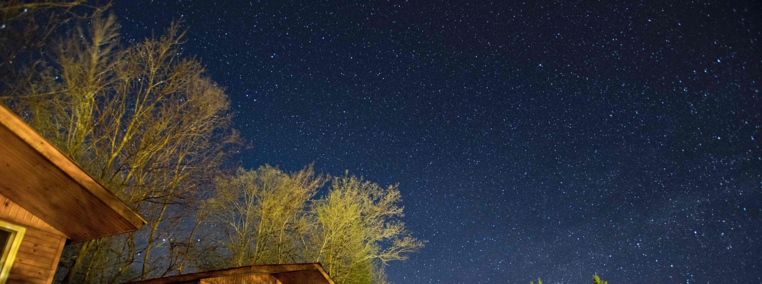 Night sky with stars, above cabins and tress