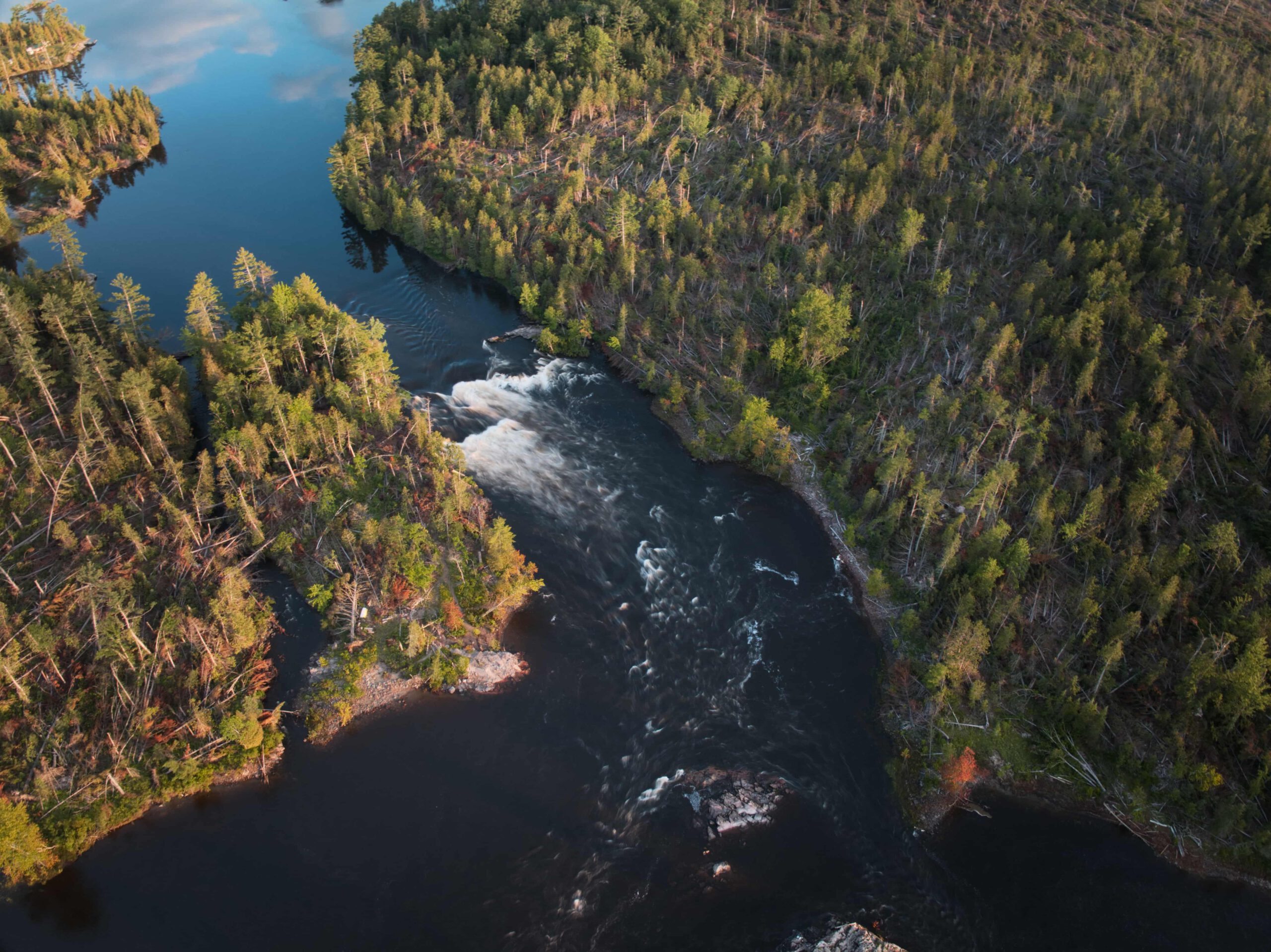 Bird's-eye view of a river, bordered by trees