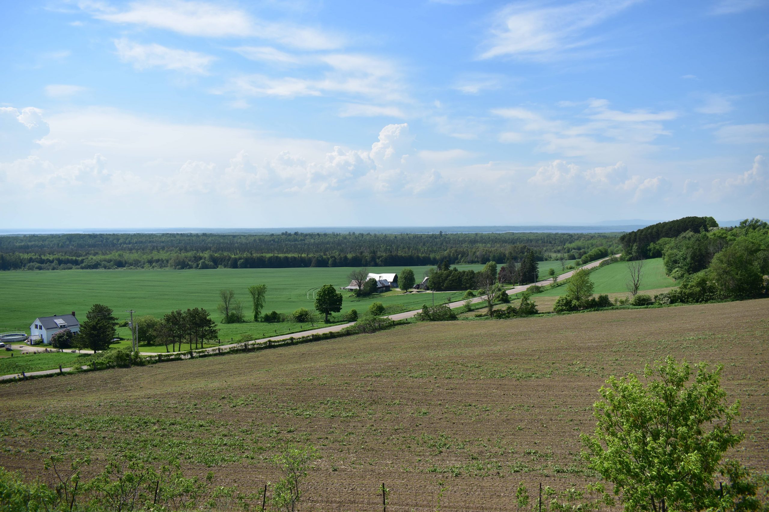 Image of farmlands and forests, seen from a distance